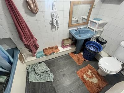 Picture 12